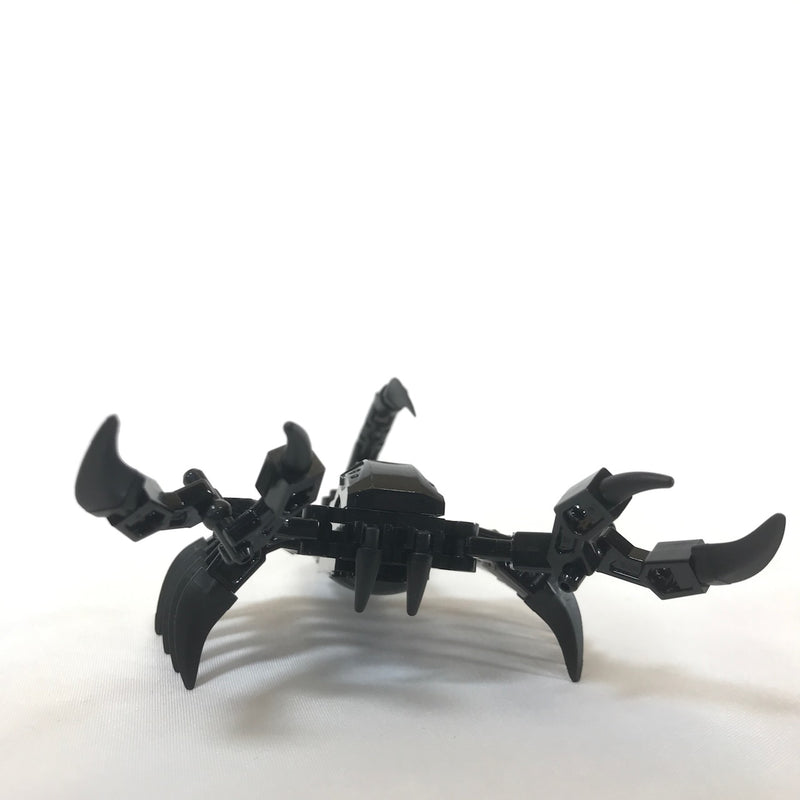 Scorpion - 1