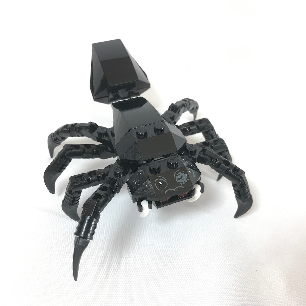 Spider - 1